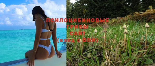 тгк Нефтекумск