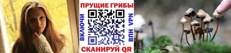 Псилоцибиновые грибы Cubensis  Купить закладки  Якутск 